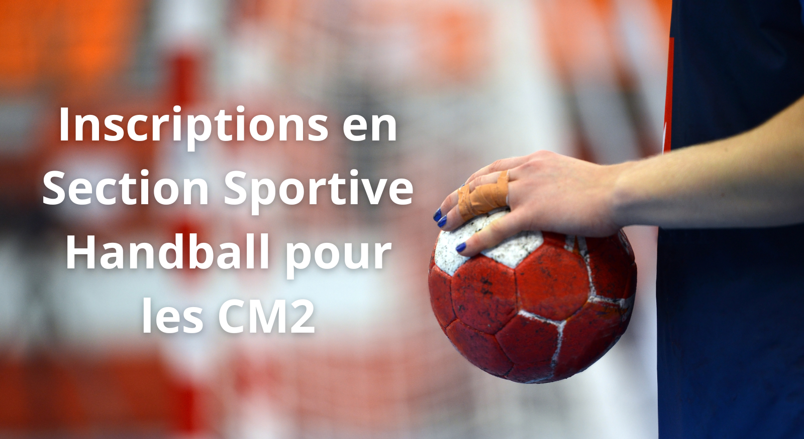 Inscriptions en Section Sportive Handball pour les CM2